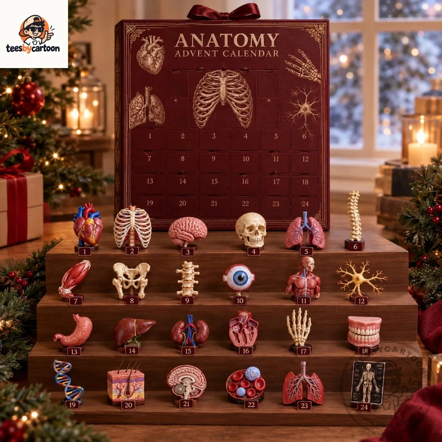 Anatomy Advent Calendar 2026 3 Anatomy Advent Calendar 2026