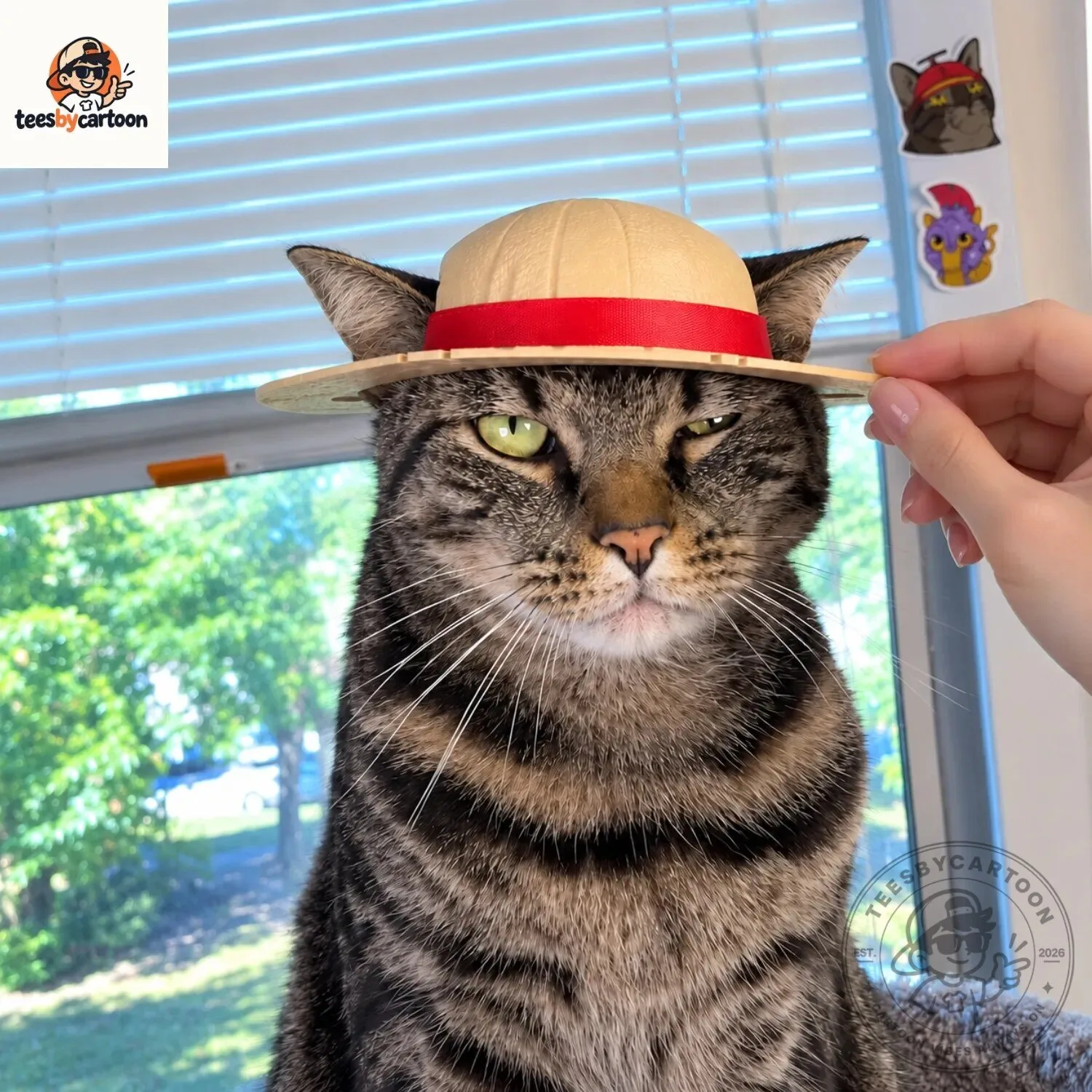 One Piece Monkey D. Luffy Straw Hat For Cats And Small Pets Cosplay Costume Prop 5 One Piece Monkey D. Luffy Straw Hat For Cats And Small Pets Cosplay Costume Prop