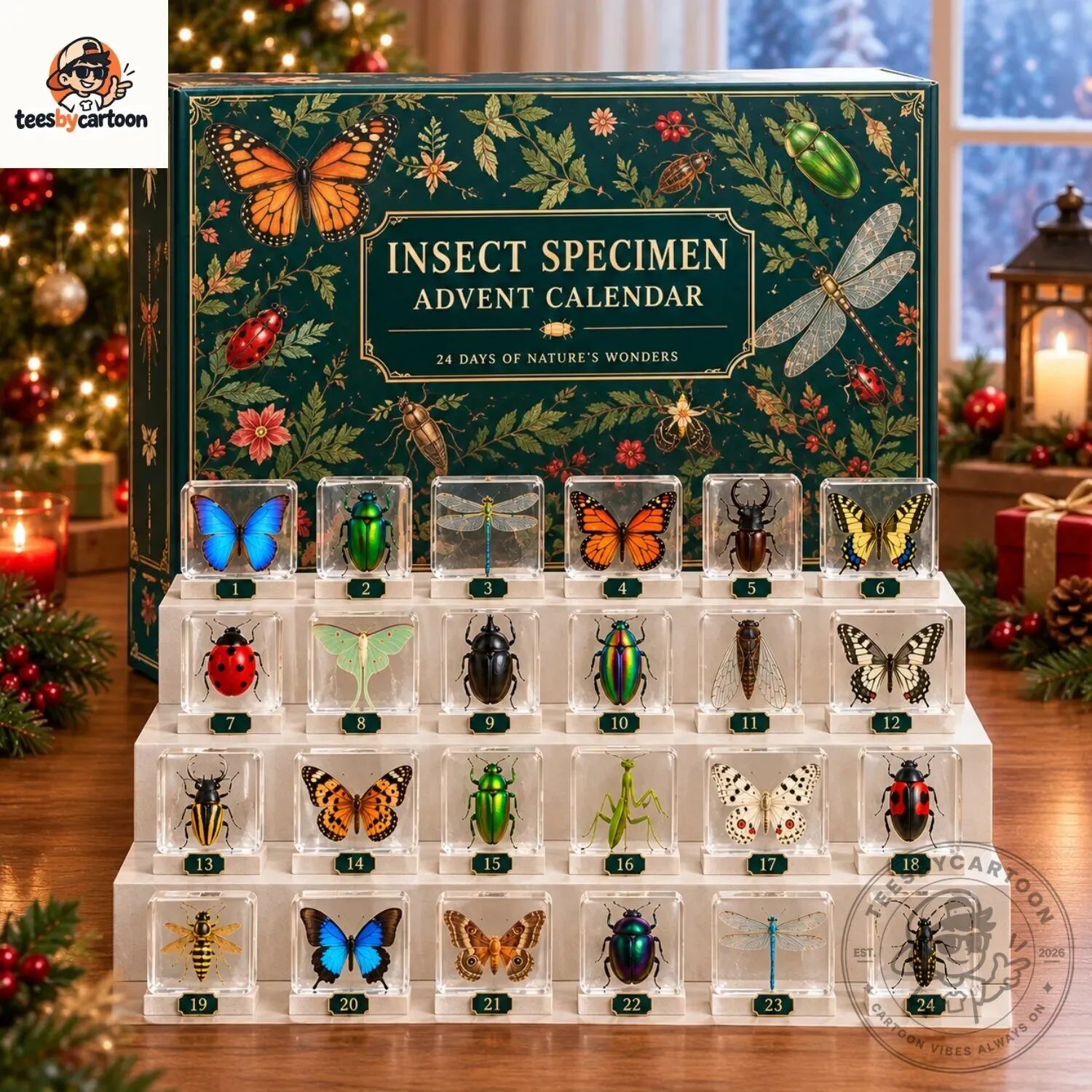 Insect Specimen Advent Calendar 4 Insect Specimen Advent Calendar