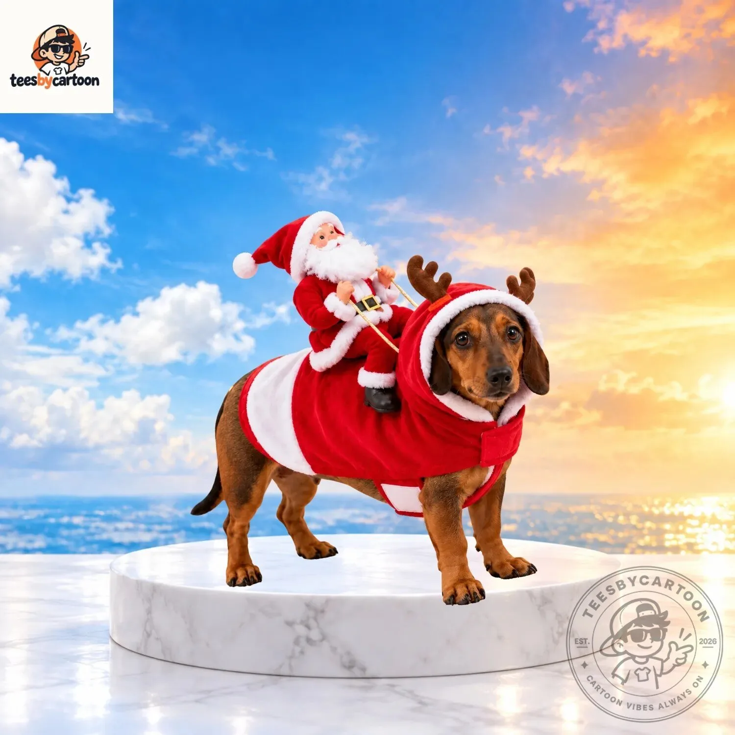 Santa Claus Riding On Dog Christmas Costume